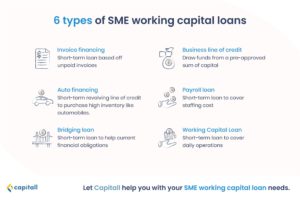 Infographic on the types of sme working capital loans in singapore