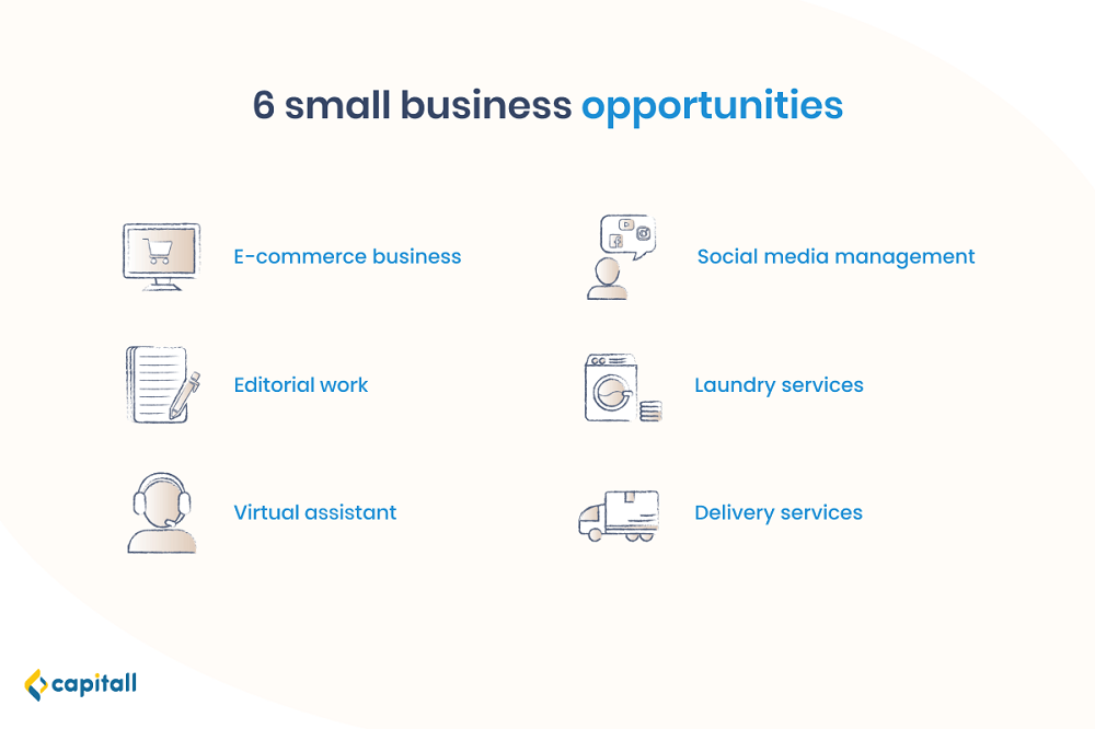 Infographic on 6 small business opportunities in Singapore