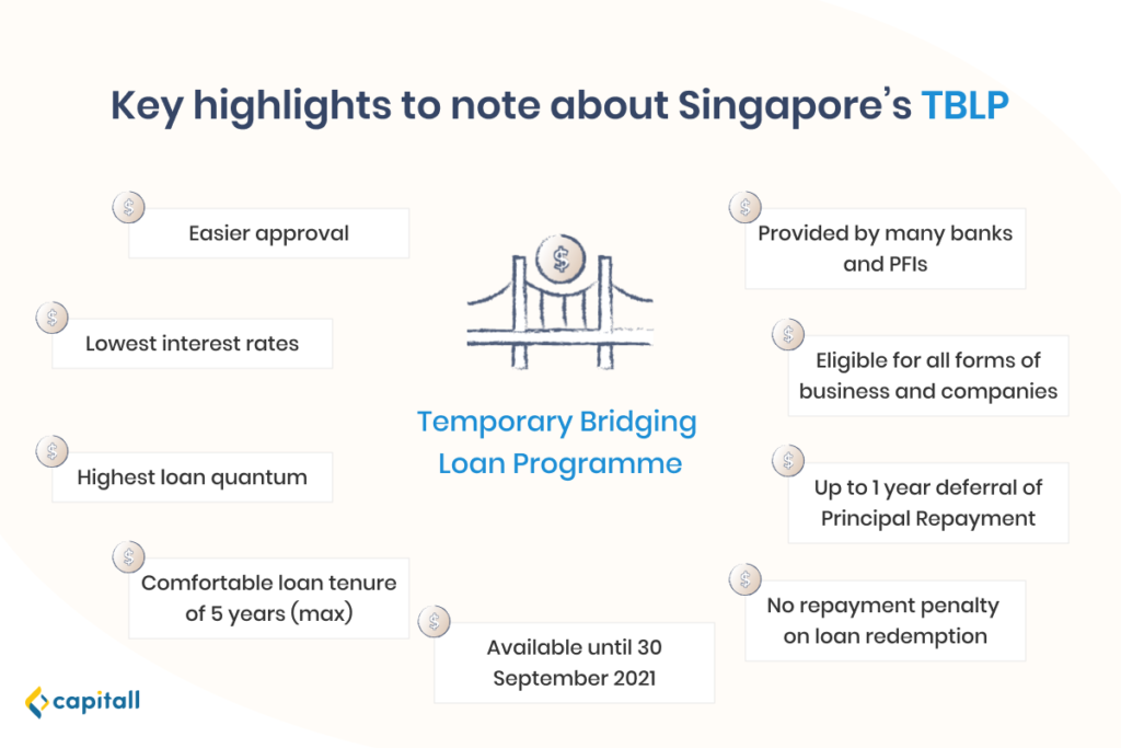 Infographic on the 9 highlights of the temporary bridging loan programme