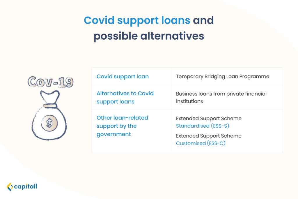 Infographic of covid support loans and its possible alternatives