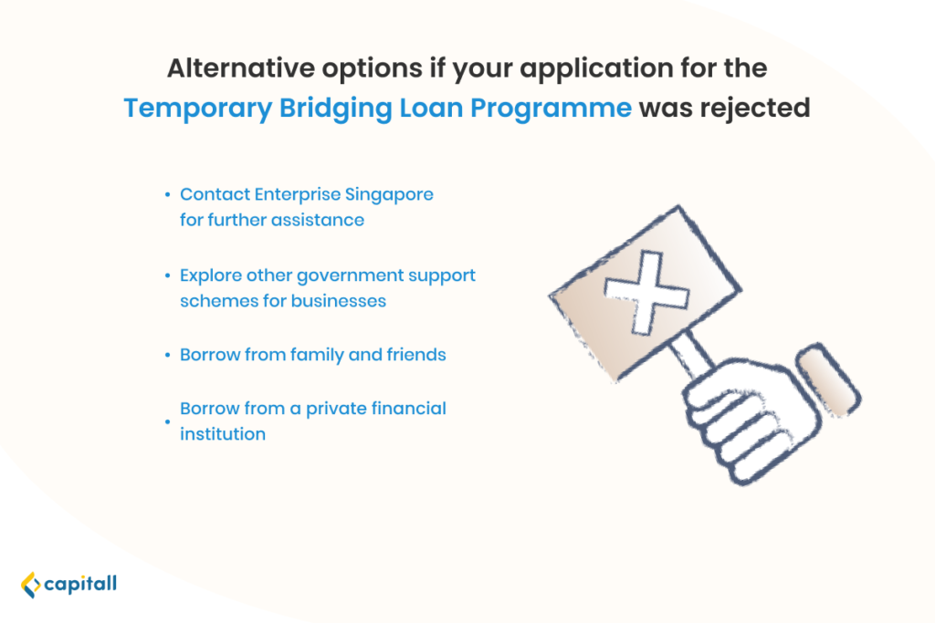 Infographic listing alternative options if an application for the Temporary Bridging Loan Programme got rejected.